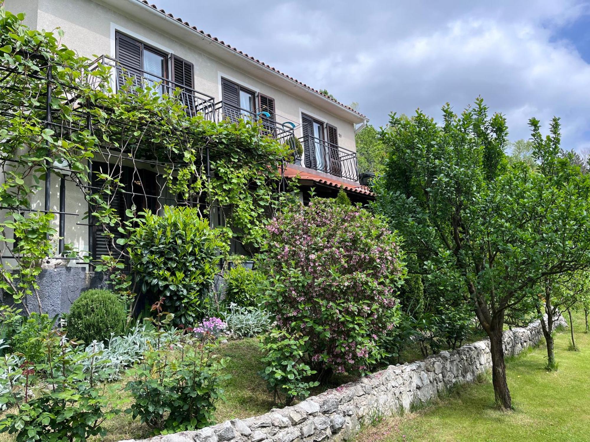 Lupoglav  Apartment Vista מראה חיצוני תמונה